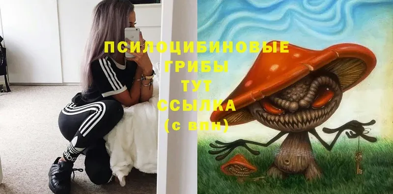 Галлюциногенные грибы Psilocybe  ОМГ ОМГ рабочий сайт  Лебедянь  что такое наркотик 